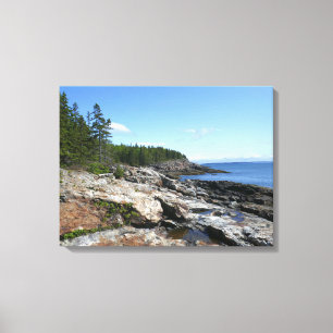 Küste von Bar Island im Acadia National Park Leinwanddruck