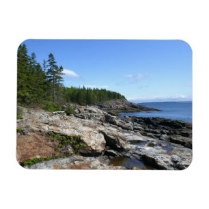 Küste von Bar Island im Acadia National Park Magnet