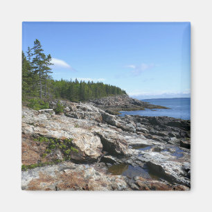 Küste von Bar Island im Acadia National Park Magnet