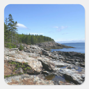 Küste von Bar Island im Acadia National Park Quadratischer Aufkleber