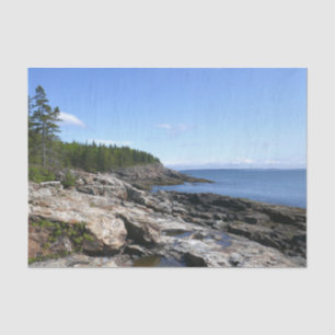 Küste von Bar Island im Acadia National Park Seidenpapier