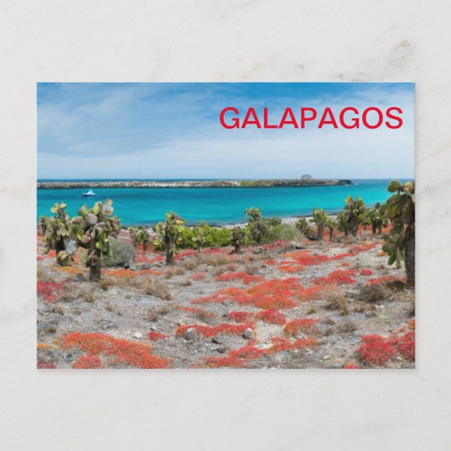 Küste von Galapagos Postkarte (Vorderseite)