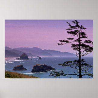 Küste von Oregon, Ecola Staat Park, Oregon Poster