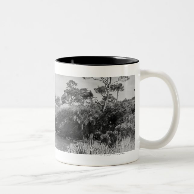 Küste Zweifarbige Tasse (Rechts)