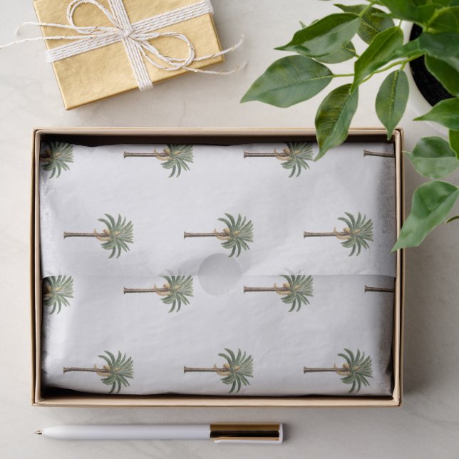 Küsten-Chic Königspalmenbaum Botanisches Muster Seidenpapier (Geschenk)