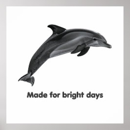 Küsten-Delfin Poster