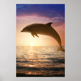 Küsten-Delfin Poster