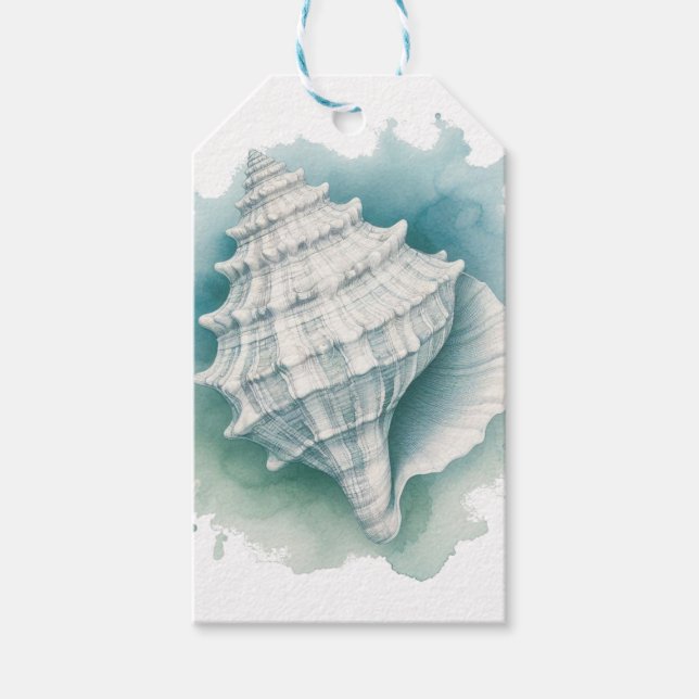 Küsten/Nautische Muschel Geschenkanhänger (Vorderseite)
