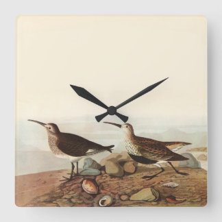 Küsten-Vogeluhr Quadratische Wanduhr