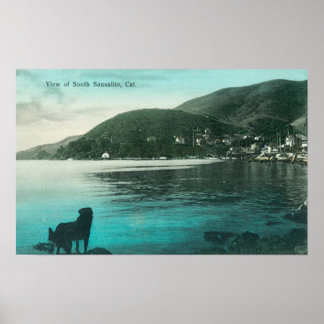 Küstenansicht von South SausalitoSausalito, CA Poster (Vorne)