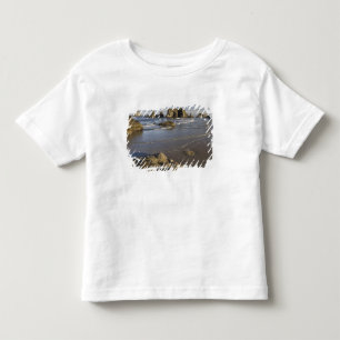 Küstenansichten, Bandon, Oregon Kleinkind T-shirt