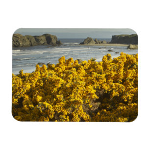 Küstenansichten, Bandon, Oregon Magnet