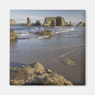 Küstenansichten, Bandon, Oregon Magnet