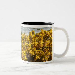 Küstenansichten, Bandon, Oregon Zweifarbige Tasse