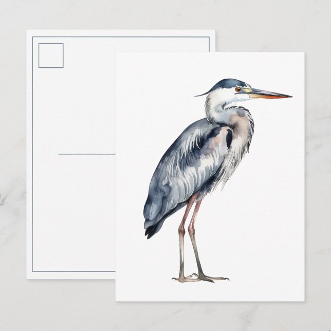 Küstenblauer Reiher Postkarte (Vorne/Hinten)