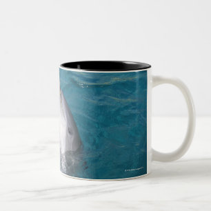 Küstenbottlenose-Delphin Zweifarbige Tasse
