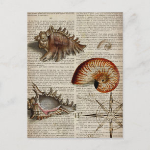 Küstenconch Vintage-Meeresschnecken-Botanikdruck Postkarte