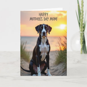 Küstener Hund Musterkarte Karte