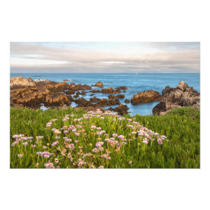 Küstenfrühling Fotodruck