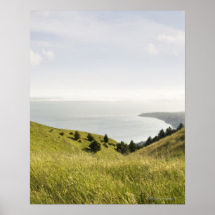 Küstenhügel, Bolinas Ridge, Kalifornien Poster