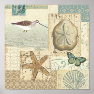 Küstenkollage Poster