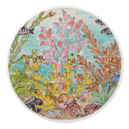 Küstenleben Hermit Krebs Muscheln Korallenmeer Keramikknauf