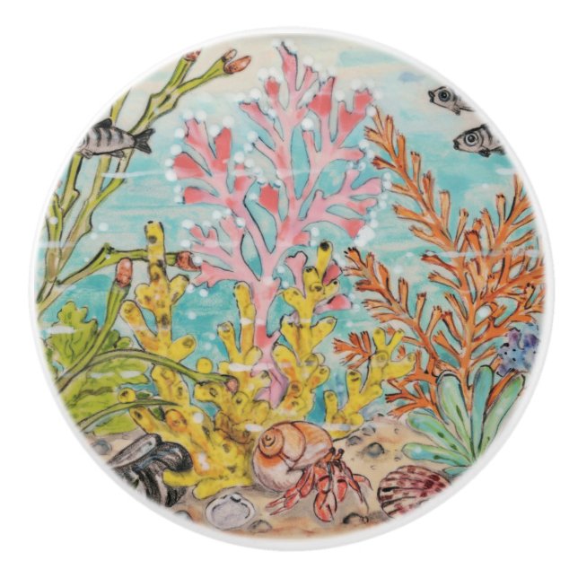 Küstenleben Hermit Krebs Muscheln Korallenmeer Keramikknauf (Vorderseite)