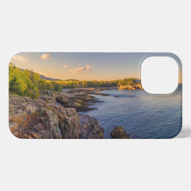 Küstenlinie | Acadia National Park, Schooner Head iPhone Hülle (Rückseite (Horizontal))