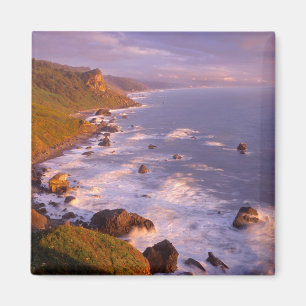 Küstenlinie der Redwoods, Kalifornien Magnet