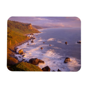 Küstenlinie der Redwoods, Kalifornien Magnet