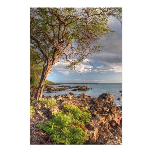 Küstenlinie Maui Fotodruck (Vorne)