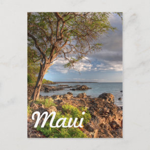 Küstenlinie Maui Postkarte