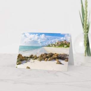 Küstenlinie   Neapel Pier, Südwestflorida Karte