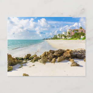 Küstenlinie   Neapel Pier, Südwestflorida Postkarte