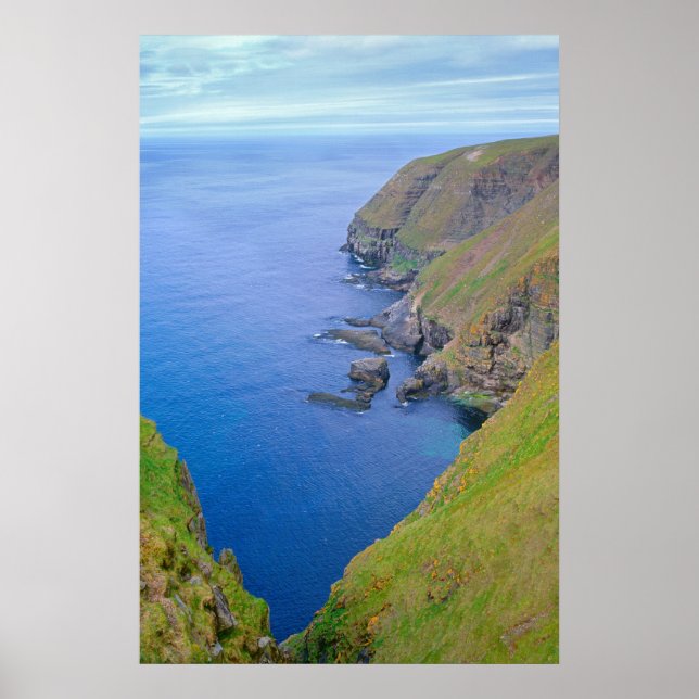 Küstenlinie Neufundland Poster (Vorne)