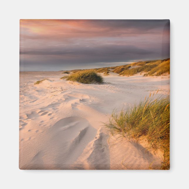 Küstenlinie | Saltum Beach, Dänemark Magnet (Vorne)