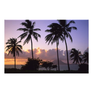 Küstenlinie St. Kitts Fotodruck