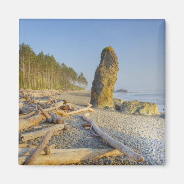 Küstenlinie und Brandungspfeiler, Ruby Beach, Olym Magnet (Vorne)