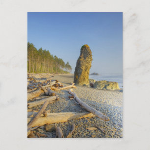 Küstenlinie und Meeresstapel, Ruby Beach, Olympic Postkarte