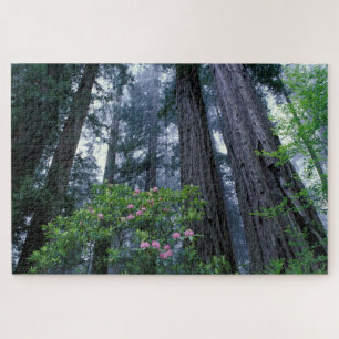 Küstenmammutbäume und Rhododendren Puzzle