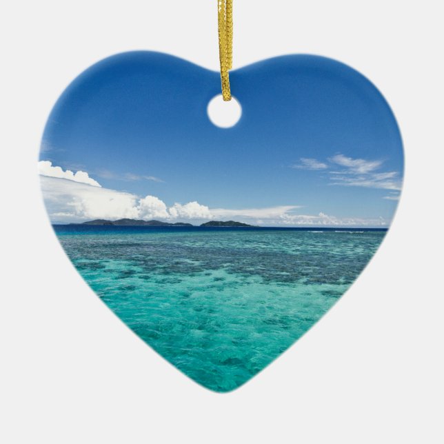 Küstenriff, Fidschi Keramikornament (Vorne)