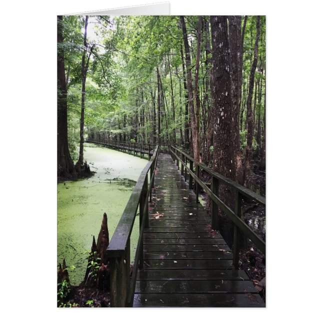 Küstenschutzgebiet (Vorne)