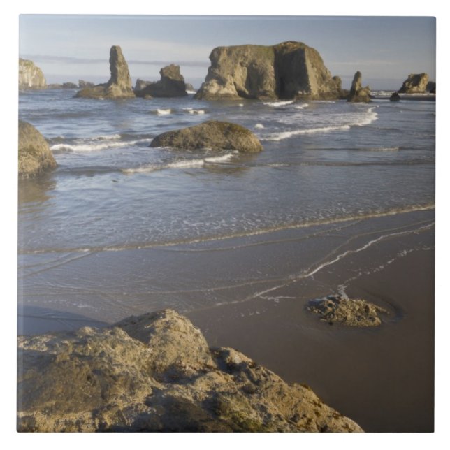 Küstensicht, Bandon, Oregon Fliese (Vorderseite)