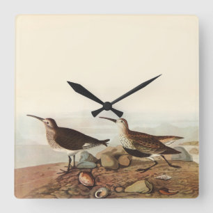 Küstenvogel-Uhr Quadratische Wanduhr