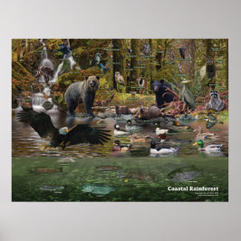 Küstenwaldplakat Poster