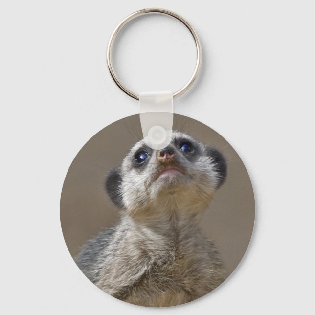 Kute Kat Keyring Schlüsselanhänger (Vorderseite)