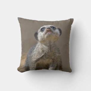 Kute Kat Pillow Kissen