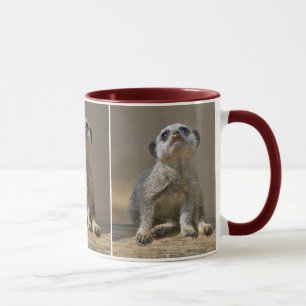 Kute Kat Tasse