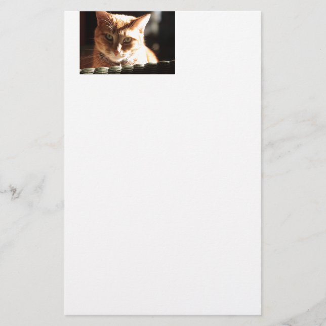 Kute Kitty! Briefpapier (Vorderseite)