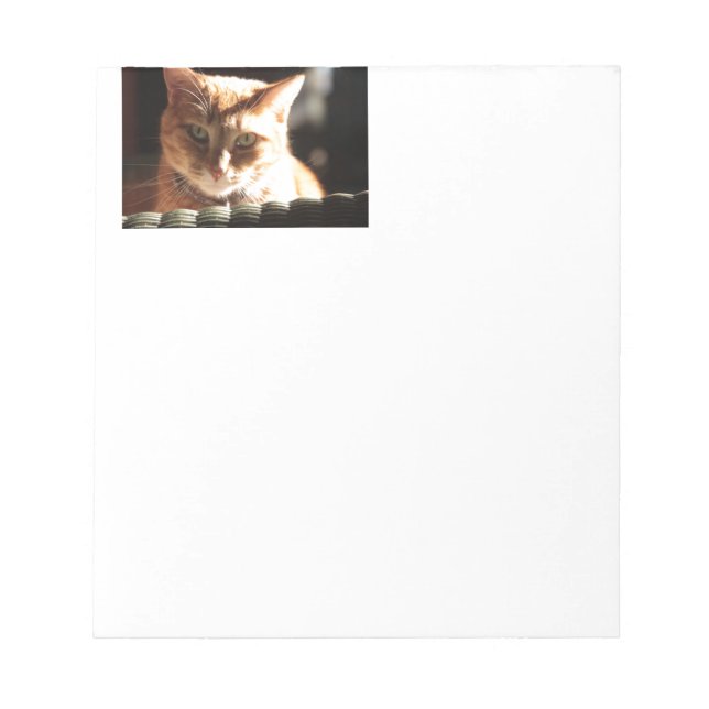 Kute Kitty! Notizblock (Vorderseite)